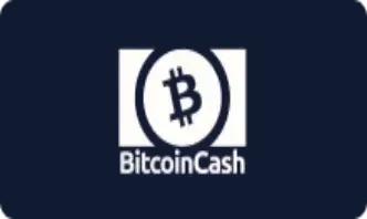 Bitcoin Cash at Lizaro